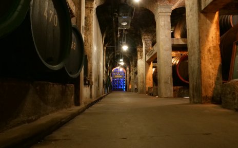 Ein Korridor im Keller vom Bremer Ratskeller. Der Korridor führt zur sogenannten Schatzkammer.
